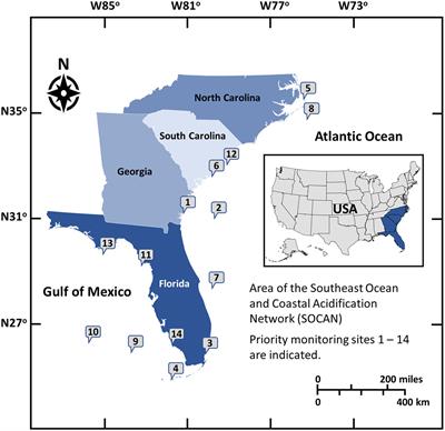 Acidification in the U.S. Southeast: Causes, Potential Consequences and the Role of the Southeast Ocean and Coastal Acidification Network